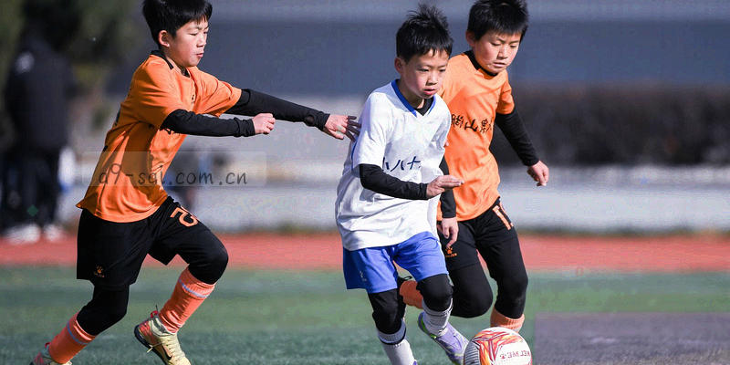 会员权益、公告、战报图标组合